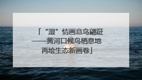 “湿”情画意鸟翩跹——黄河口候鸟栖息地再绘生态新画卷